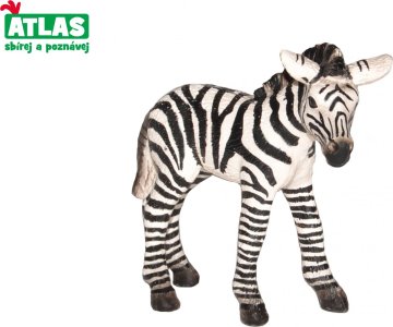 Atlas B - Figurka Zebra hříbě 7 cm