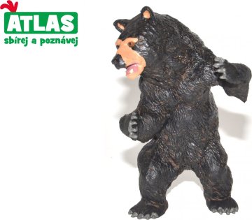 Atlas C Medvěd baribal 11cm